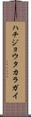 ハチジョウタカラガイ Scroll