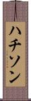 ハチソン Scroll
