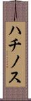 ハチノス Scroll