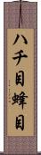 ハチ目 Scroll