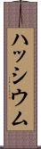 ハッシウム Scroll