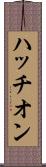 ハッチオン Scroll