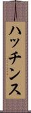 ハッチンス Scroll