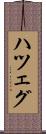 ハツェグ Scroll
