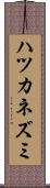 ハツカネズミ Scroll