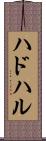 ハドハル Scroll