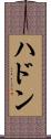 ハドン Scroll