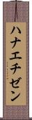ハナエチゼン Scroll