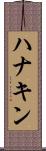 ハナキン Scroll