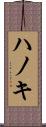 ハノキ Scroll