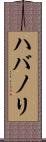ハバノリ Scroll
