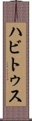ハビトゥス Scroll