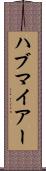 ハブマイアー Scroll