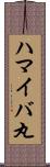 ハマイバ丸 Scroll