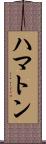 ハマトン Scroll
