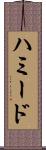 ハミード Scroll