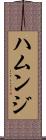 ハムンジ Scroll