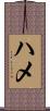 ハメ Scroll