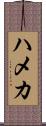ハメカ Scroll