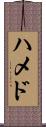 ハメド Scroll