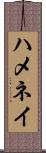 ハメネイ Scroll
