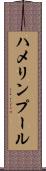 ハメリンプール Scroll