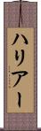 ハリアー Scroll