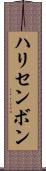 ハリセンボン Scroll