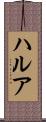 ハルア Scroll