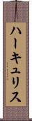 ハーキュリス Scroll