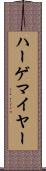 ハーゲマイヤー Scroll