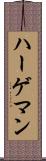 ハーゲマン Scroll