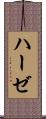 ハーゼ Scroll