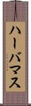 ハーバマス Scroll