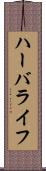 ハーバライフ Scroll