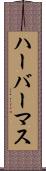 ハーバーマス Scroll