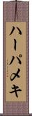 ハーパメキ Scroll