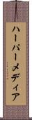 ハーパーメディア Scroll