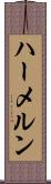 ハーメルン Scroll