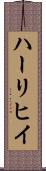 ハーリヒイ Scroll
