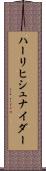 ハーリヒシュナイダー Scroll