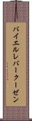バイエル・レバークーゼン Scroll