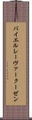 バイエル・レーヴァークーゼン Scroll