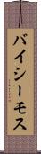 バイシーモス Scroll