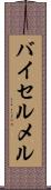 バイセルメル Scroll