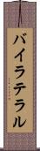 バイラテラル Scroll