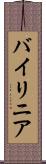 バイリニア Scroll