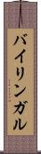 バイリンガル Scroll