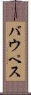 バウペス Scroll