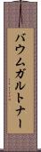 バウムガルトナー Scroll